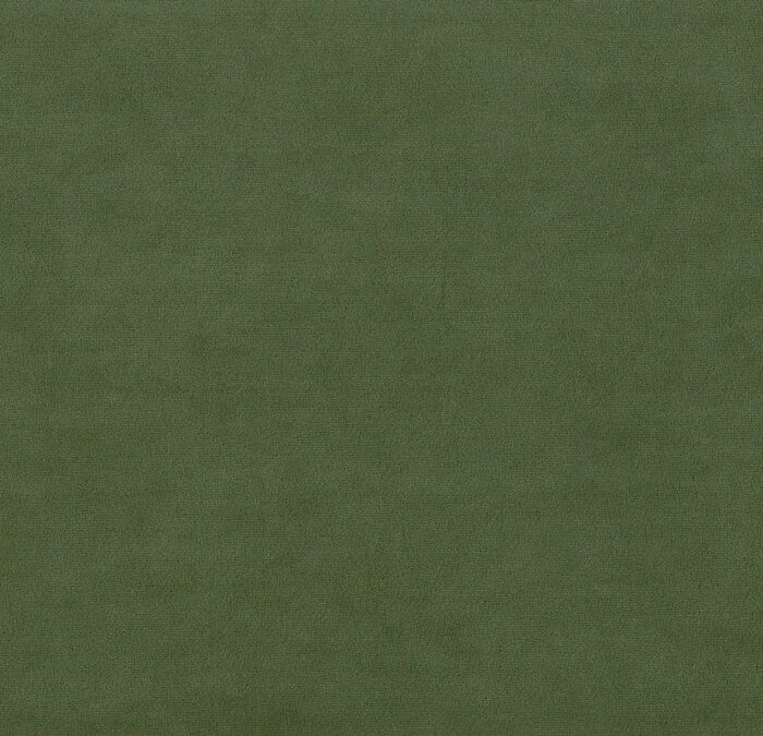 Sapore Fabric - Bonsai swatch