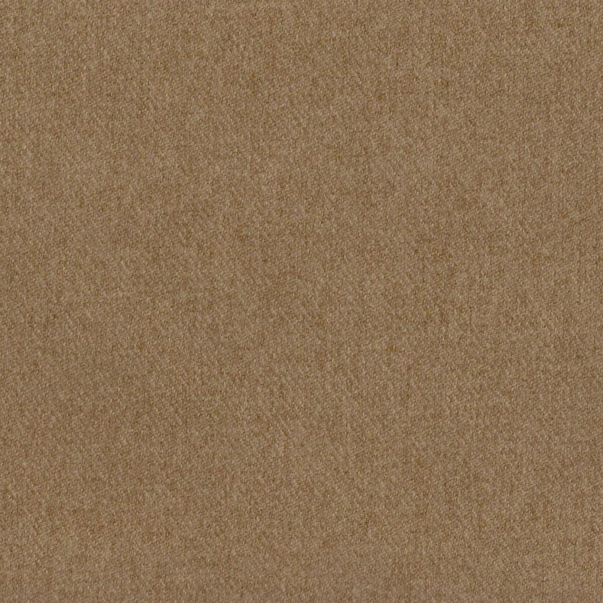 Sonata Fabric - Tawny by brown plain woolen fabric from Cristina Marrone