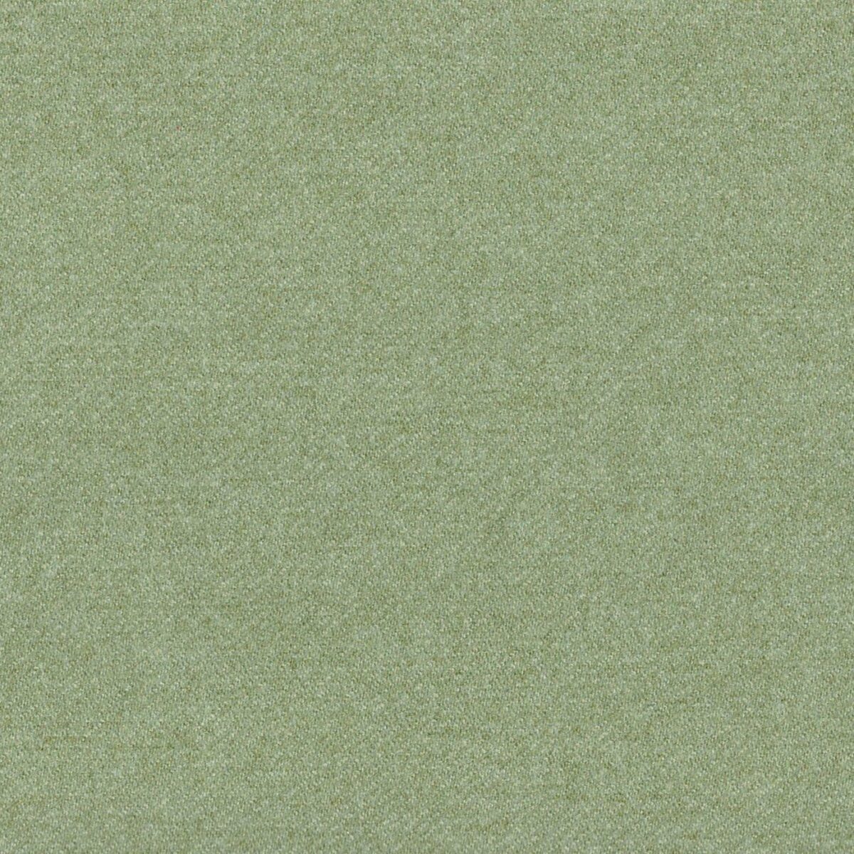 Sonata Fabric - Sage by green plain woolen fabric from Cristina Marrone