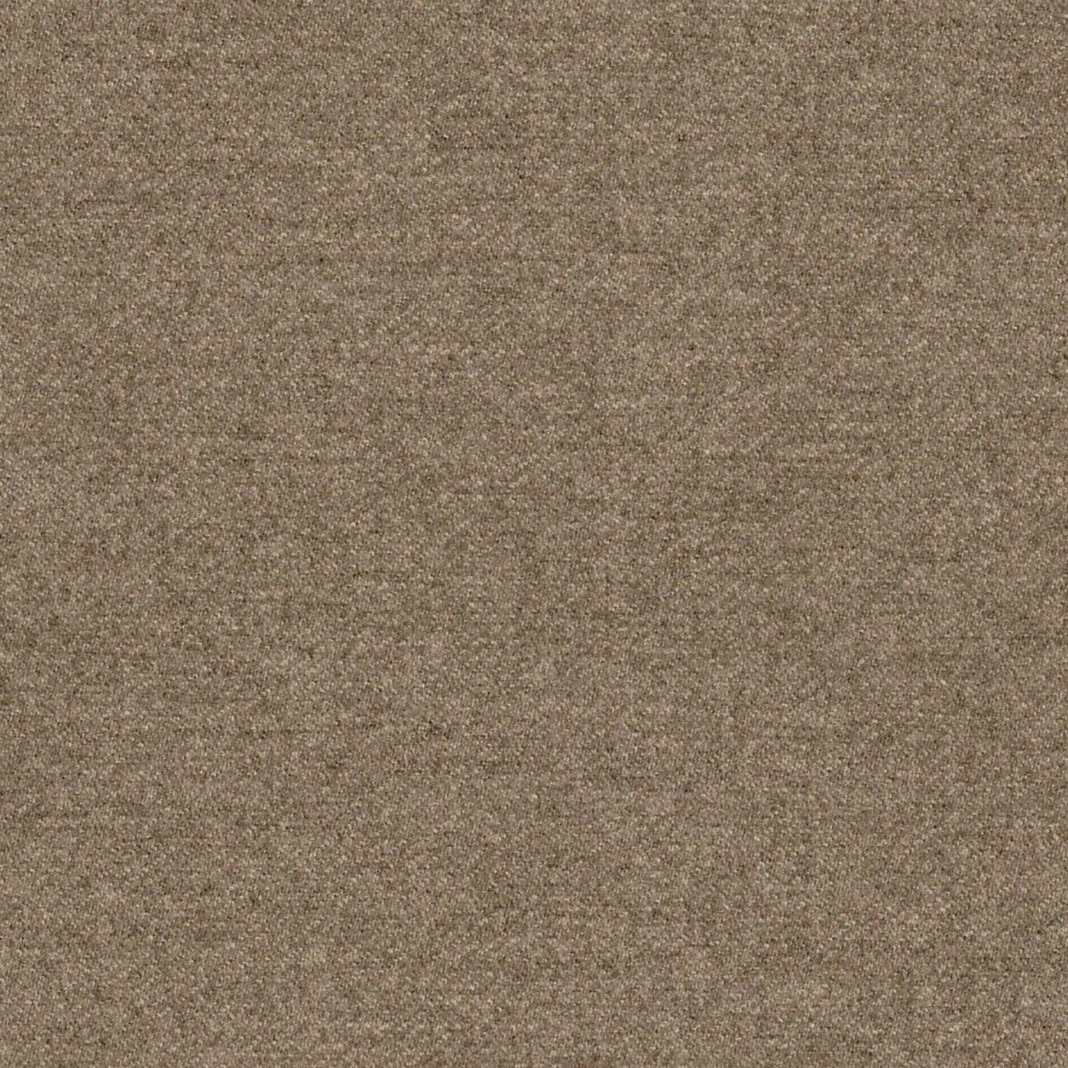 Sonata Fabric - Mushroom by brown plain woolen fabric from Cristina Marrone