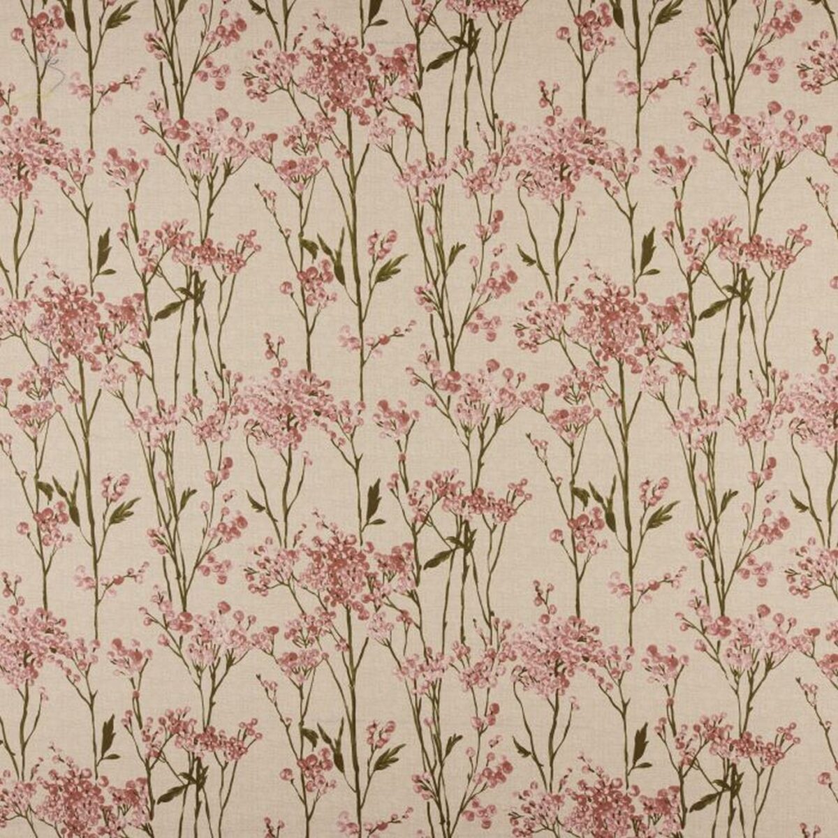 Hawthorn Fabric - Rosewood by pink botanical cotton fabric from Ashley Wilde