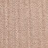 orange plain woven fabric from Prestigious Textiles