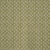 green botanical printed fabric from Prestigious Textiles