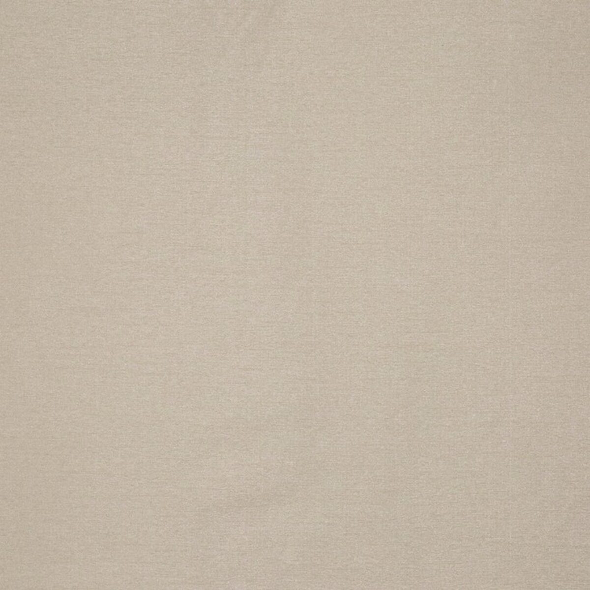 Opulence Fabric - Champagne by neutral plain woven fabric from Prestigious Textiles