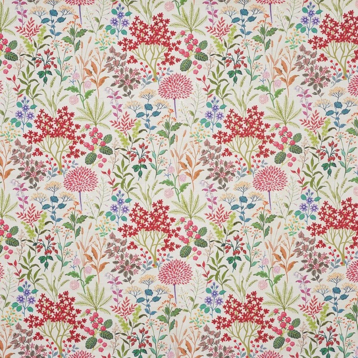 multicolour botanical cotton fabric from Prestigious Textiles