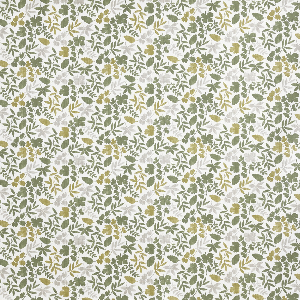 Riley Fabric - Olive by green botanical printed fabric from Prestigious Textiles