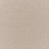 neutral plain cotton fabric from Prestigious Textiles