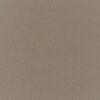 neutral plain cotton fabric from Prestigious Textiles