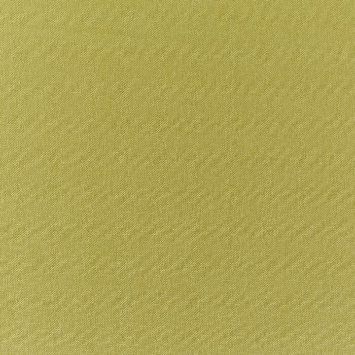 Style Fabric - Kiwi swatch