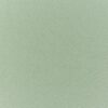 green plain cotton fabric from Prestigious Textiles