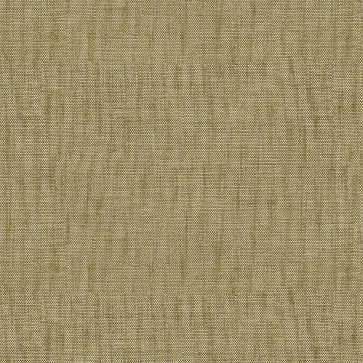 brown plain velvet-chenille fabric from Linwood Fabrics
