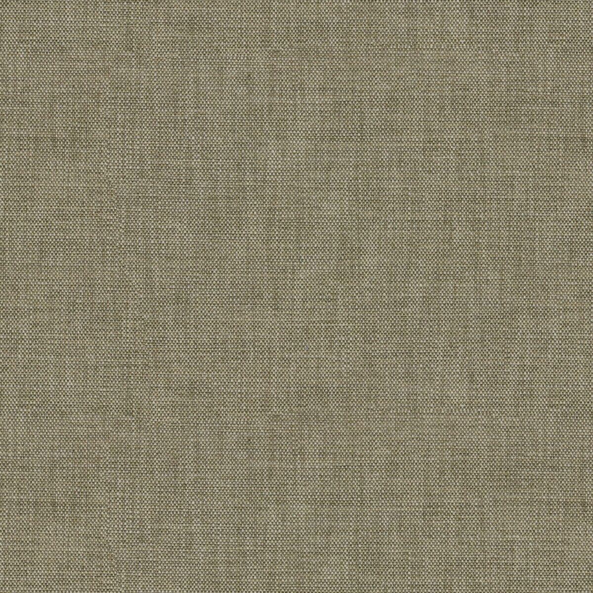 brown plain velvet-chenille fabric from Linwood Fabrics