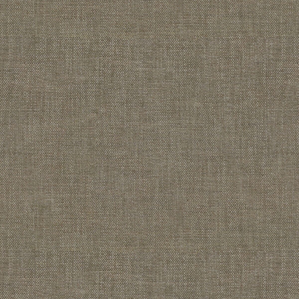 brown plain velvet-chenille fabric from Linwood Fabrics