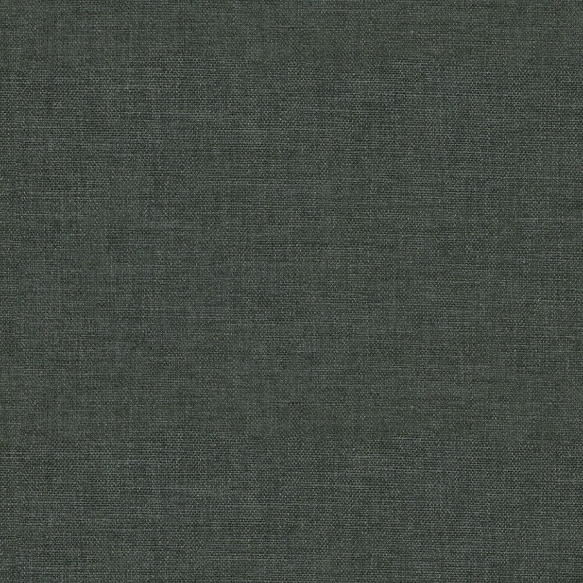 Stresa Fabric - Lava by black-grey plain velvet-chenille fabric from Linwood Fabrics