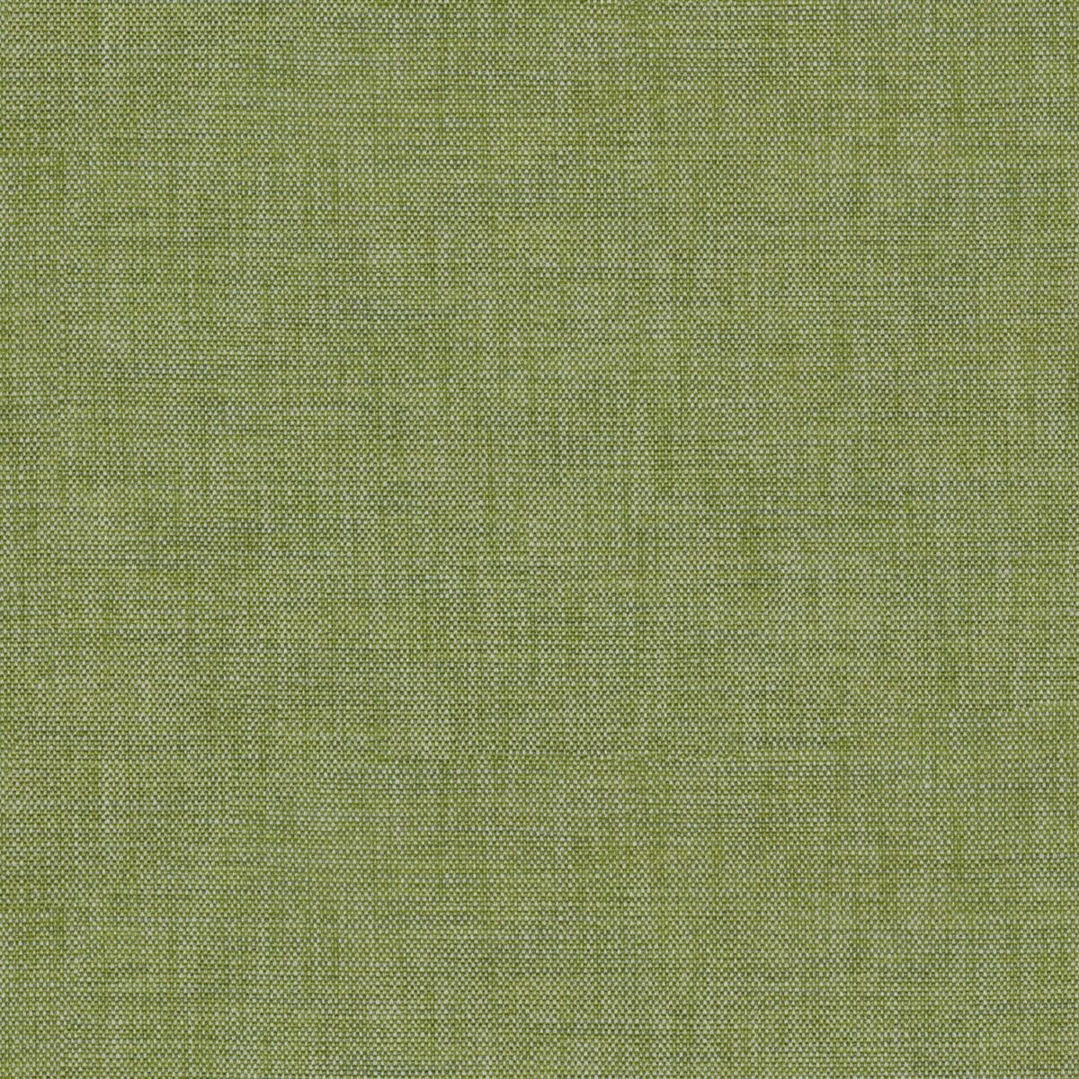 Stresa Fabric - Spring Green by green plain velvet-chenille fabric from Linwood Fabrics