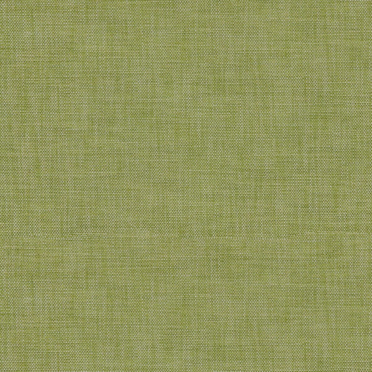 Stresa Fabric - Dewdrop by green plain velvet-chenille fabric from Linwood Fabrics