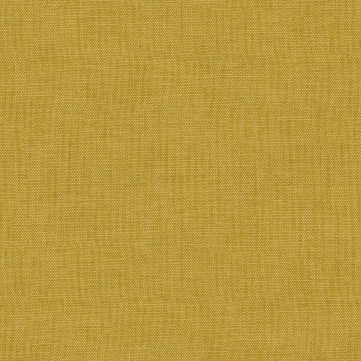 Stresa Fabric - Mustard by yellow plain velvet-chenille fabric from Linwood Fabrics