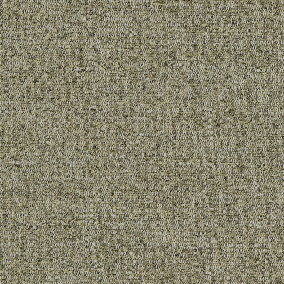 Tanaro Fabric - Sepia by brown plain woven fabric from Linwood Fabrics