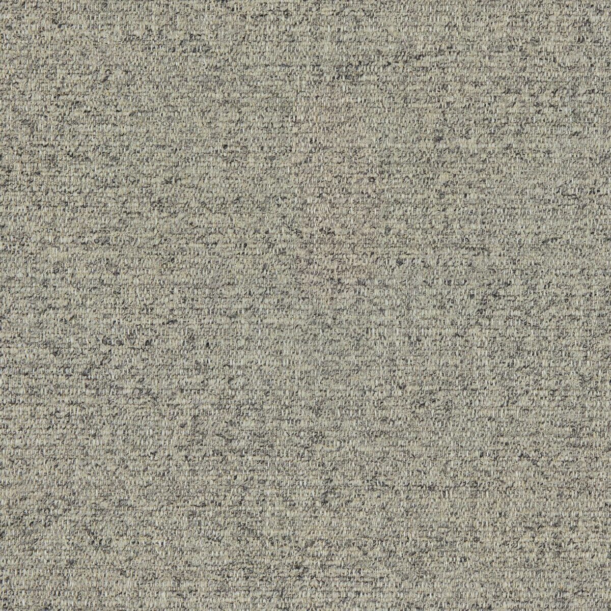 Tanaro Fabric - Ash by black-grey plain woven fabric from Linwood Fabrics