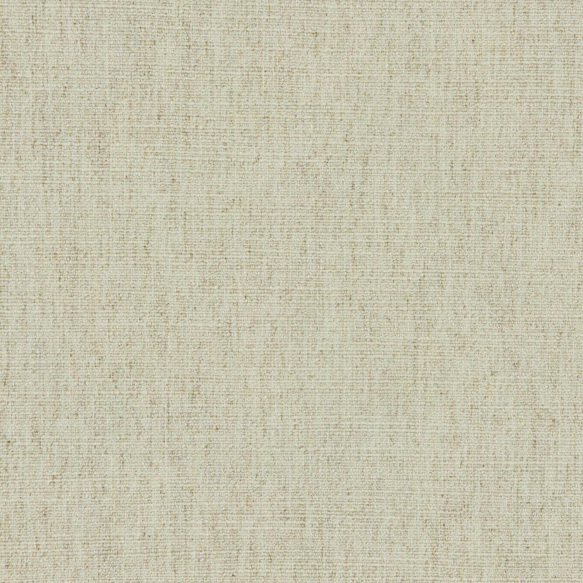 Vara Fabric - Ecru by white plain woven fabric from Linwood Fabrics
