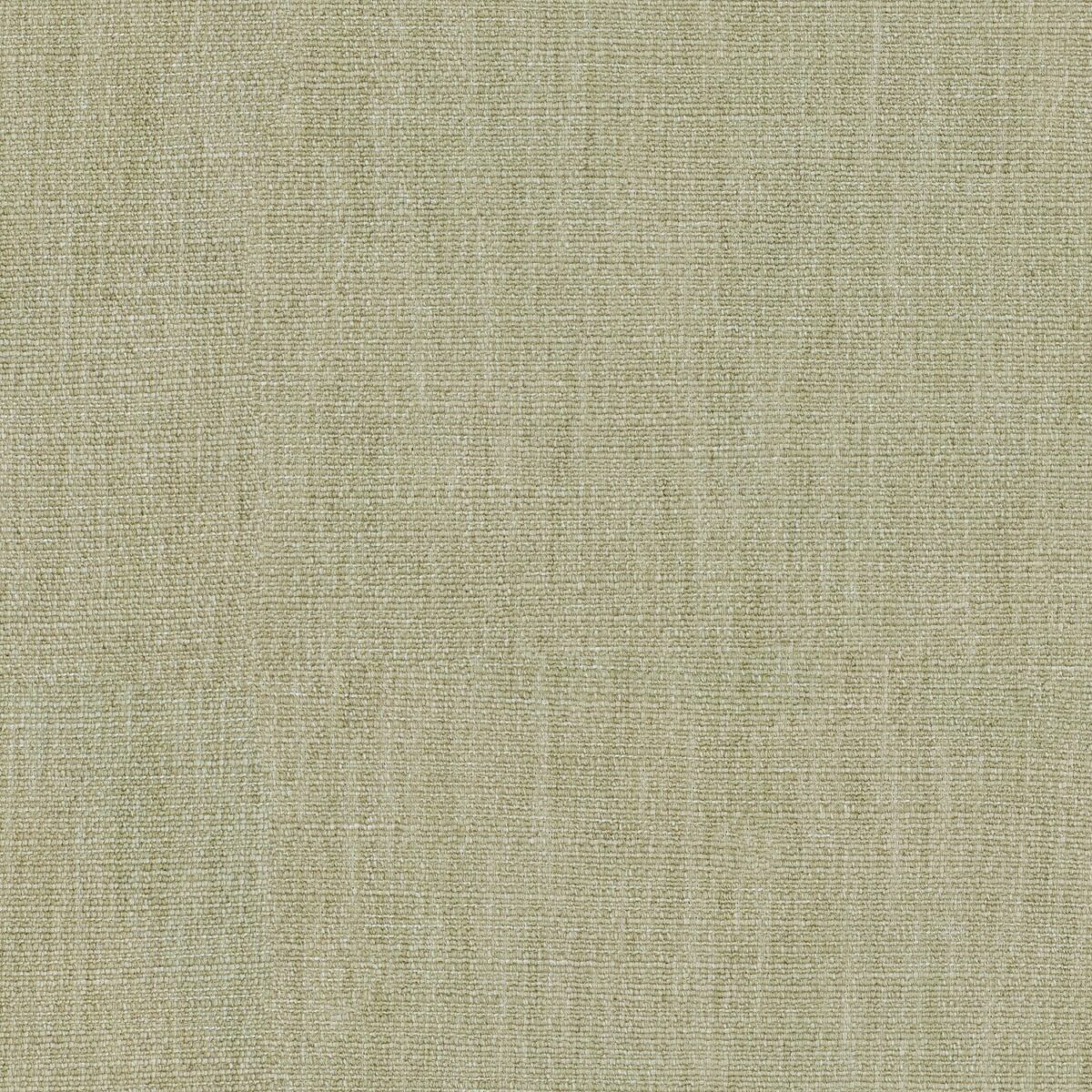 Vara Fabric - Bisque by green plain woven fabric from Linwood Fabrics