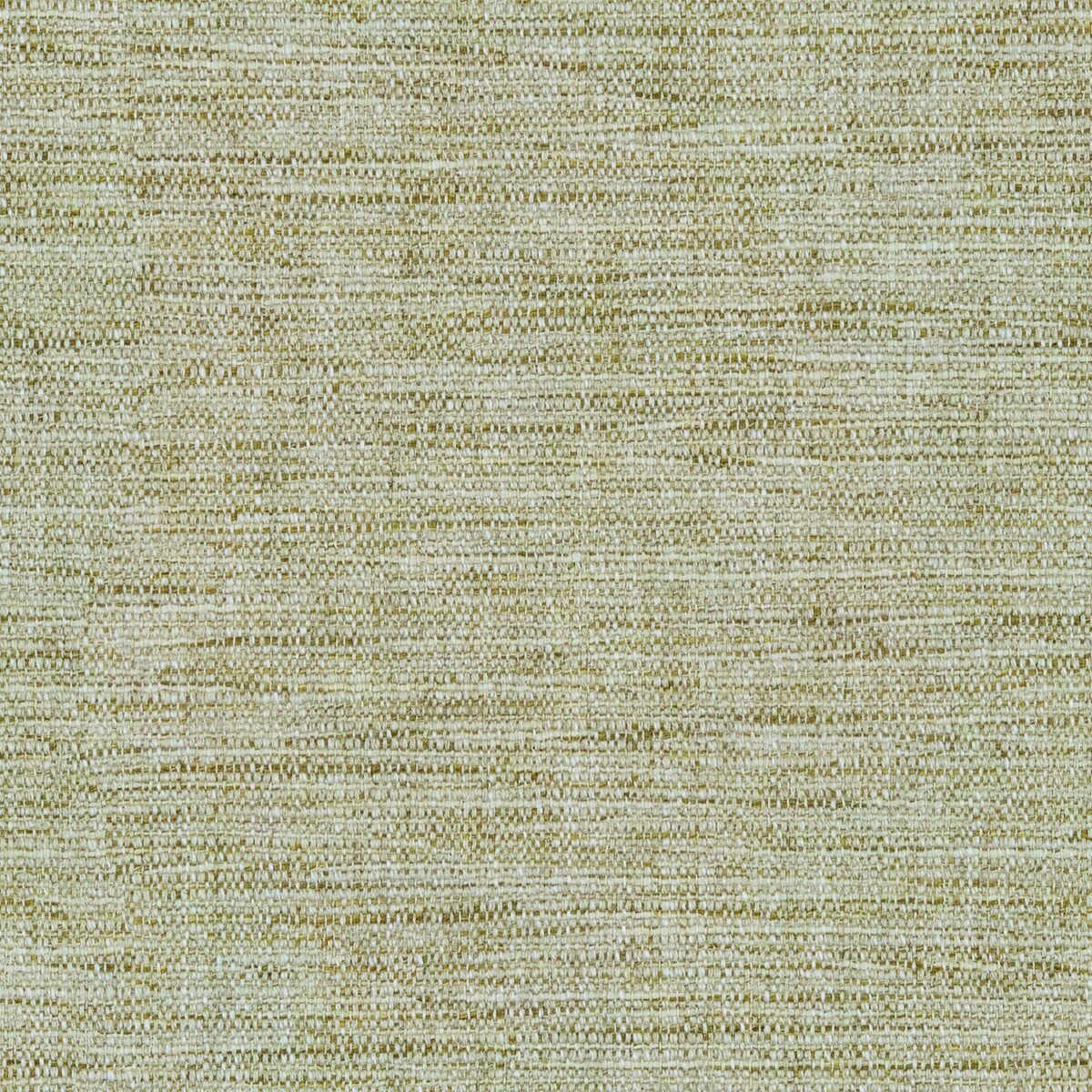 Vara Fabric - Wicker by green plain woven fabric from Linwood Fabrics