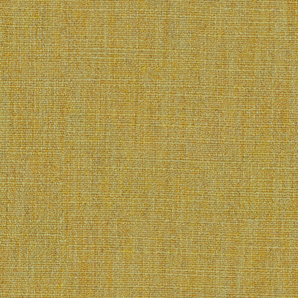 Vara Fabric - Sunflower by yellow plain woven fabric from Linwood Fabrics