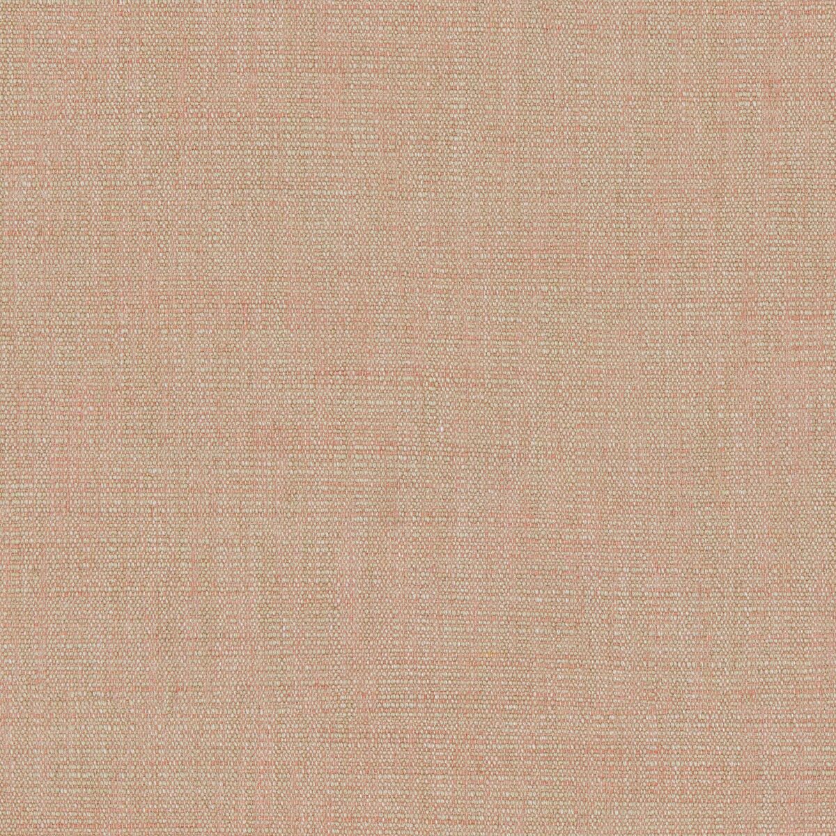 Vara Fabric - Pink Champagne by pink plain woven fabric from Linwood Fabrics