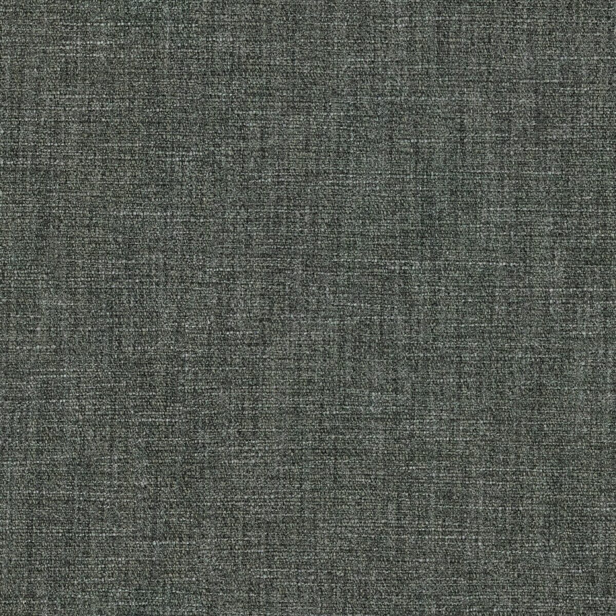 Vara Fabric - Slate by black-grey plain woven fabric from Linwood Fabrics