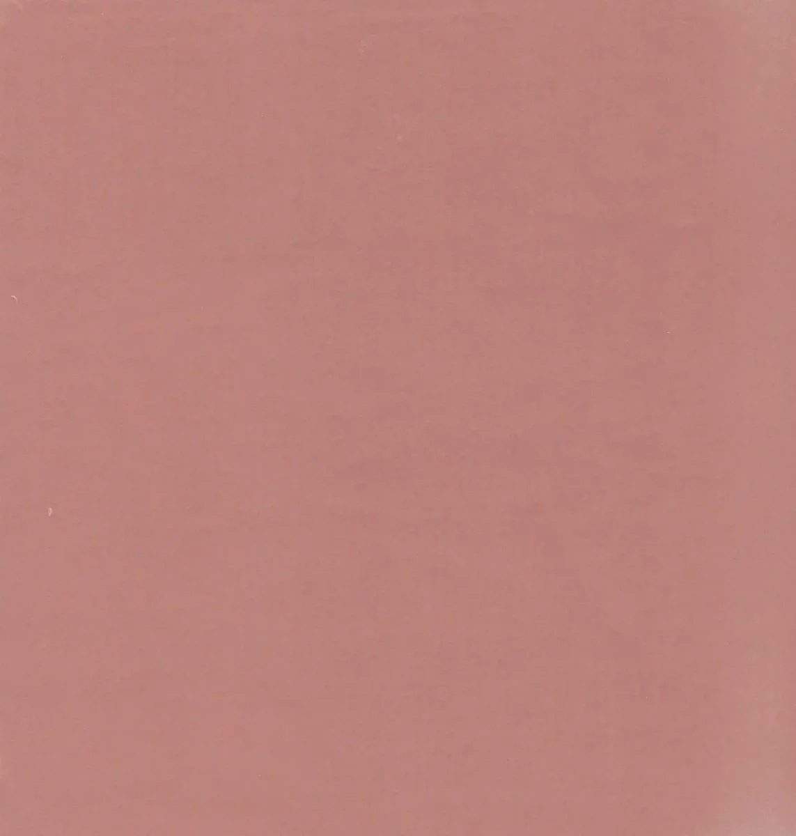pink plain velvet-chenille fabric from Kai