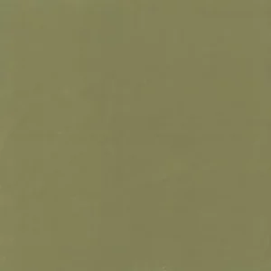 green plain velvet-chenille fabric from Kai