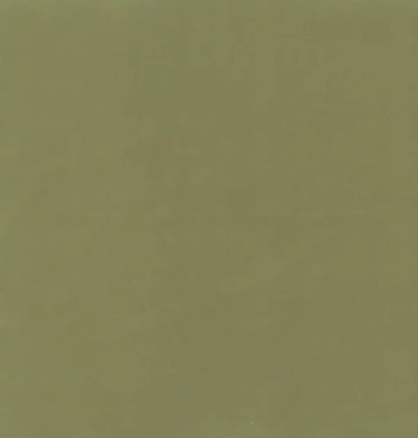 green plain velvet-chenille fabric from Kai