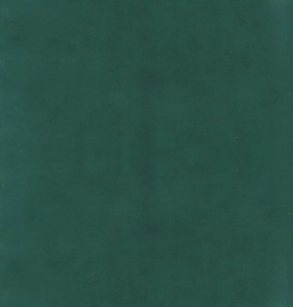 green plain velvet-chenille fabric from Kai