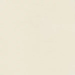 white plain velvet-chenille fabric from Kai