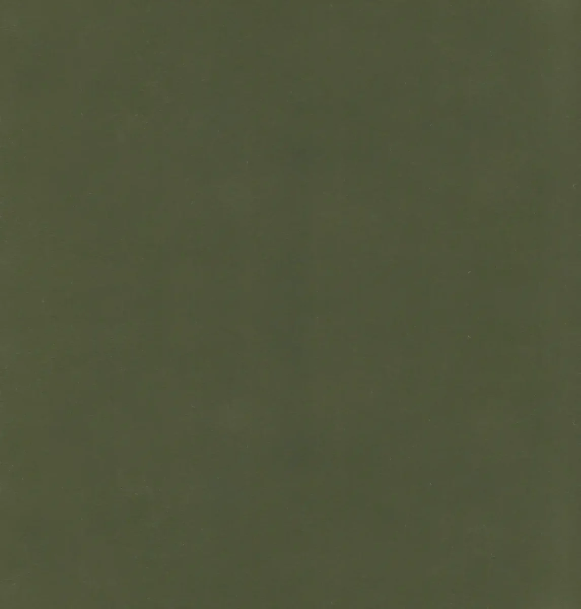 green plain velvet-chenille fabric from Kai