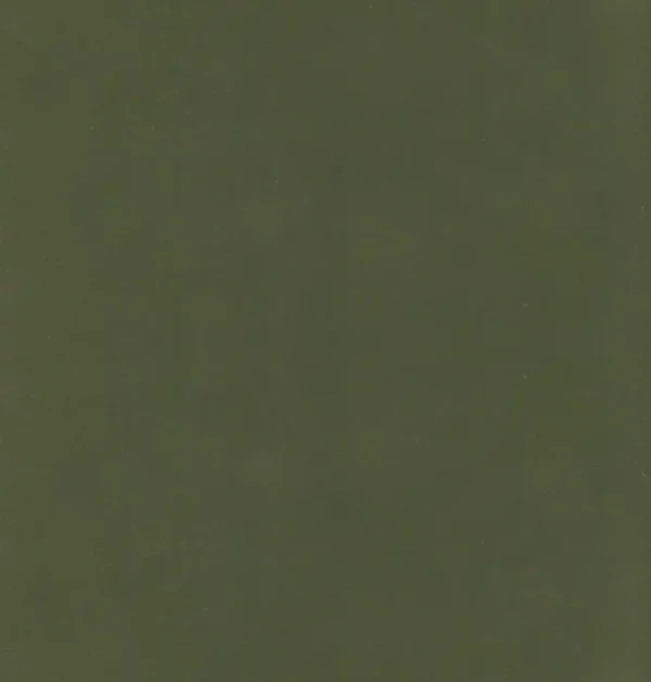 green plain velvet-chenille fabric from Kai