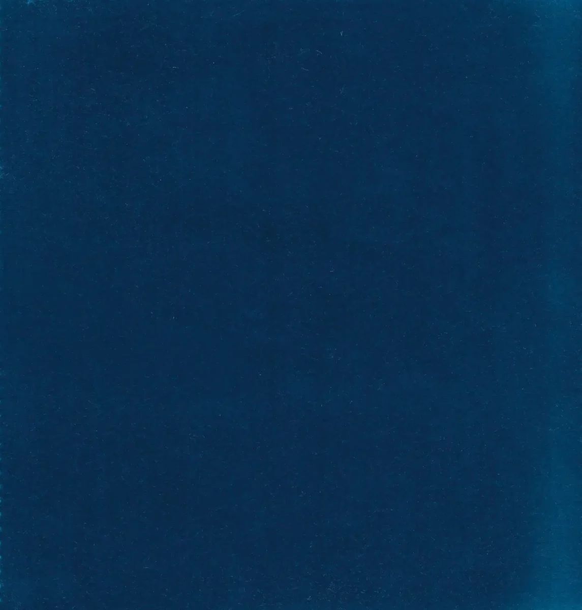 Koji Fabric - Navy by blue plain velvet-chenille fabric from Kai