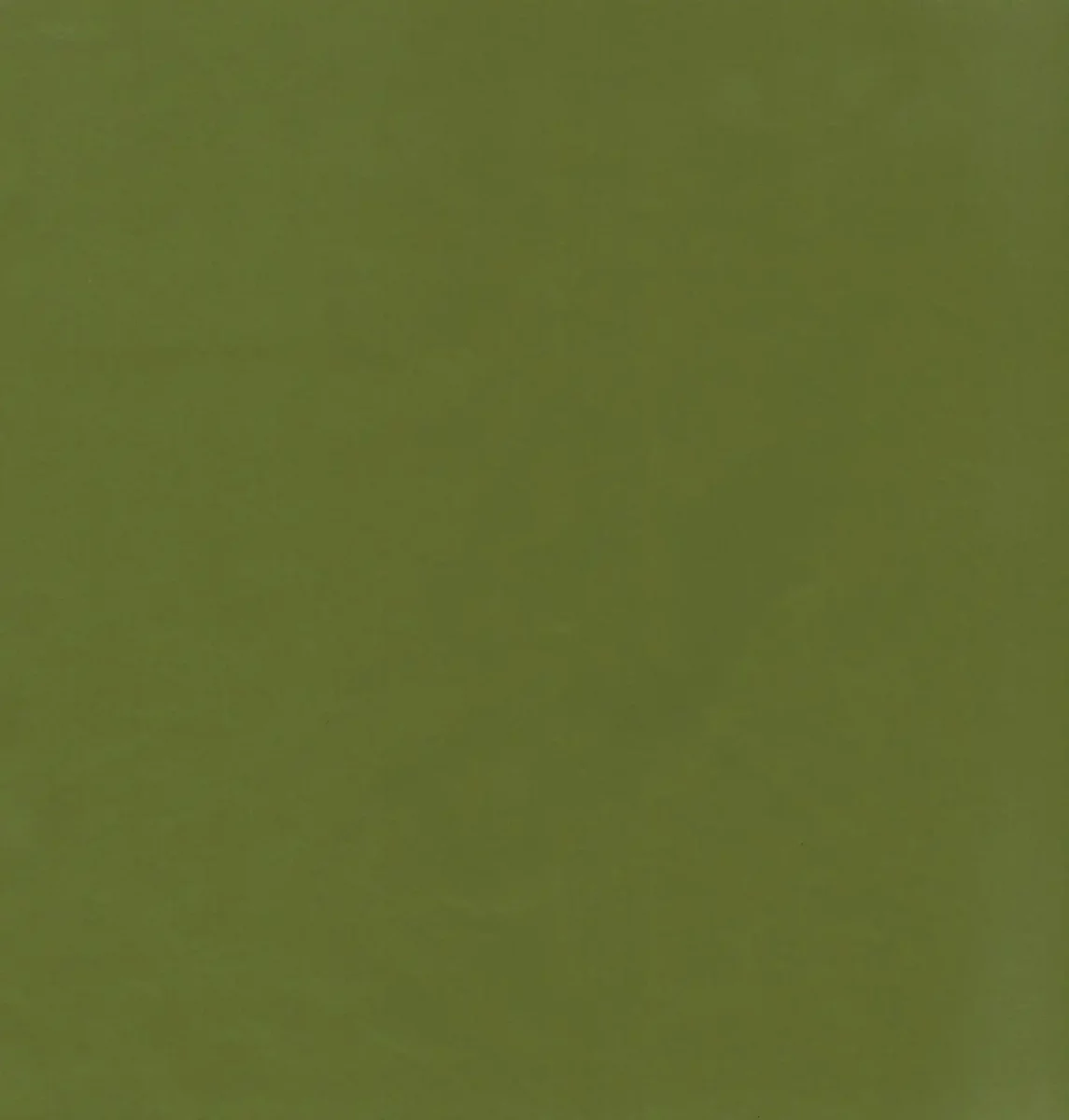 green plain velvet-chenille fabric from Kai