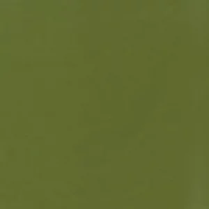 green plain velvet-chenille fabric from Kai