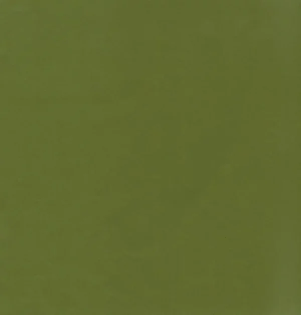 Koji Fabric - Pickle by green plain velvet-chenille fabric from Kai