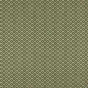 green geometric woven fabric from Kai