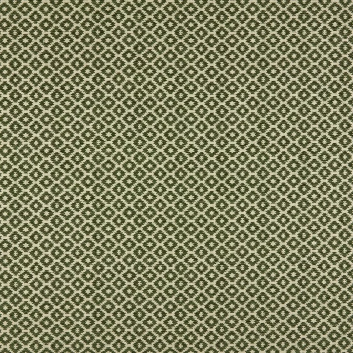 Berber Fabric - Cactus swatch