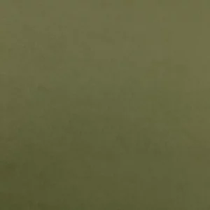 green plain woven fabric from Kai
