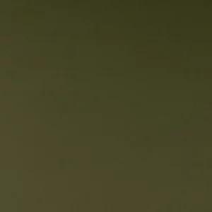 green plain woven fabric from Kai