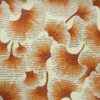 orange botanical woven fabric from Porter & Stone