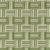 green striped woven fabric from Nina Campbell