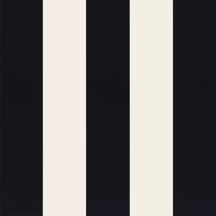 Pisa Stretto Fabric - Black /  White – Black / White swatch