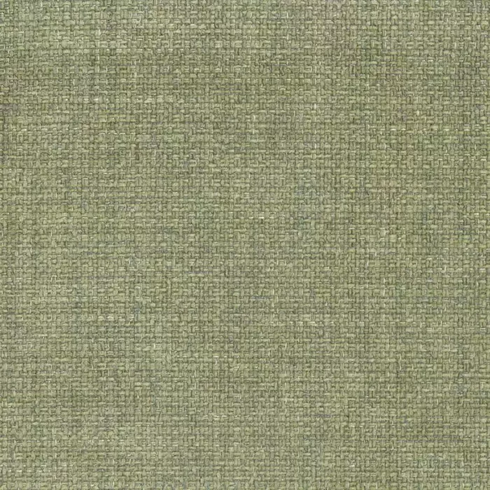 Carlyle Fabric - Sage swatch