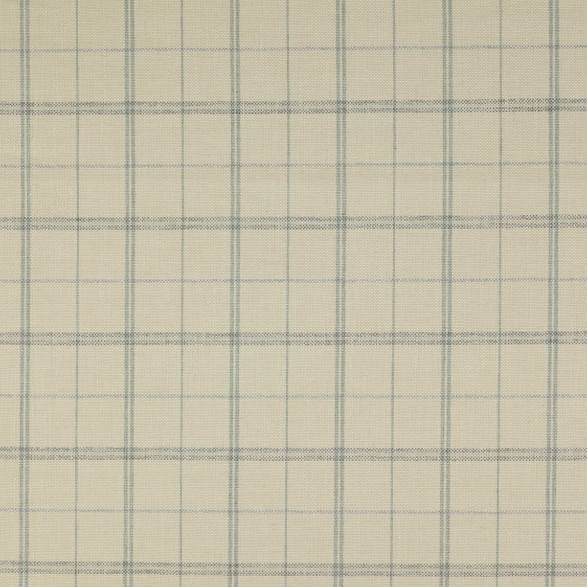 blue checked woven fabric from Colefax & Fowler