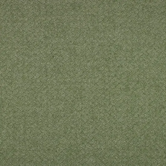 Parquet Fabric - Green swatch